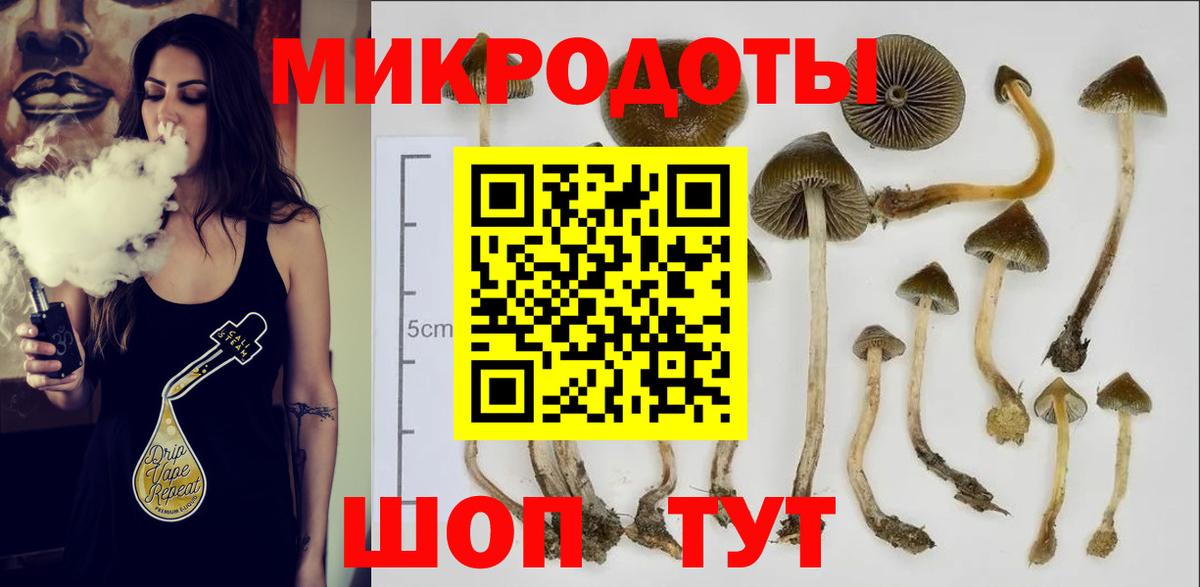 Псилоцибиновые грибы мицелий Когалым